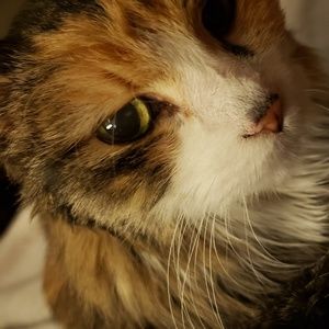 Meet your Posher, Ann